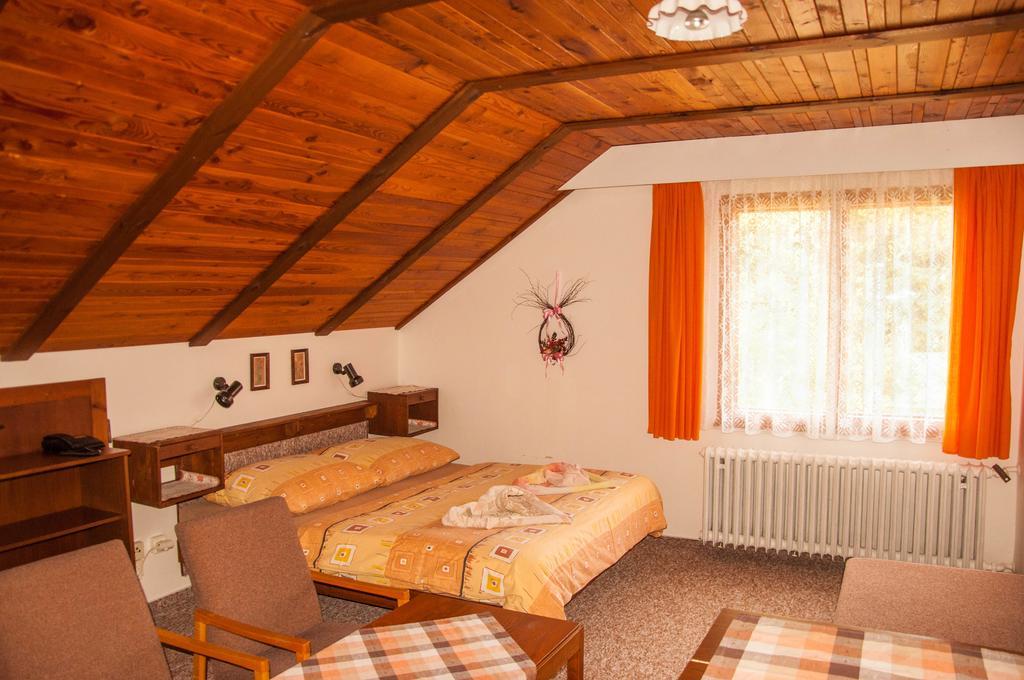 Hotel Privat - Harrachov 392 Pokoj fotografie